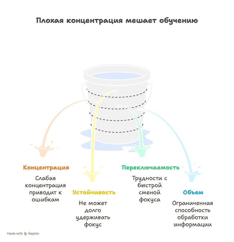 Как невнимательность, пдохая концентрация мешает обучению 